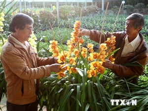 Da Lat inaugurates fund for flower farmers
